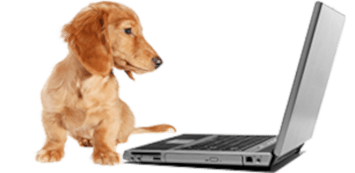 Hund_Data_fri_513x250px